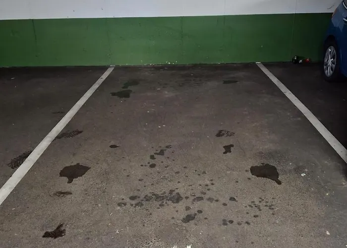 Appartement Casa India *